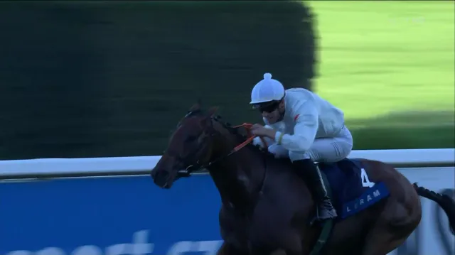 Dostih Leram Million a ohlas Petra Foreta, Dalibora Töröka a Jiřího Trávníčka