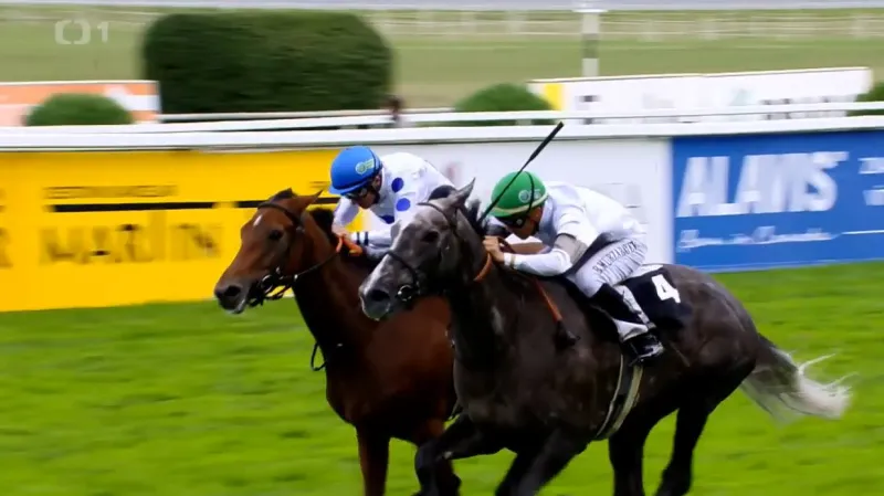 Evropský pohár žokejů ovládl hnědák Troizilet