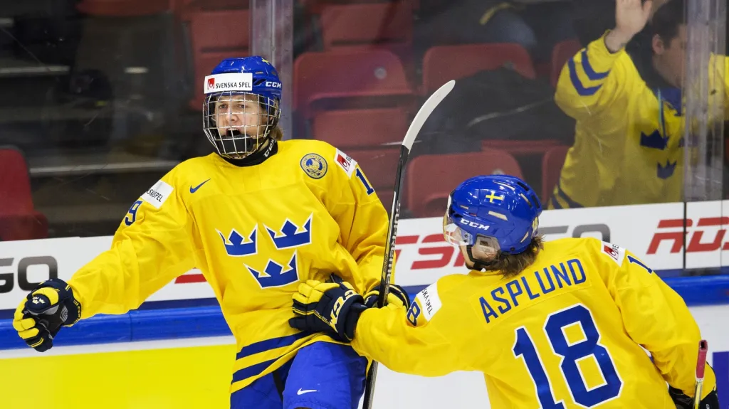Alexander Nylander se raduje z gólu do sítě USA