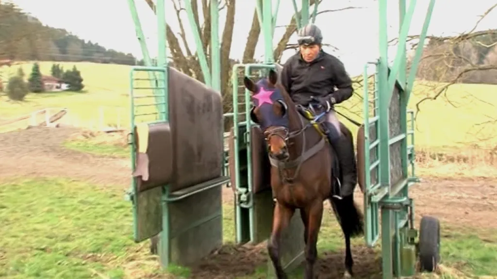 Pojede Váňa znovu Velkou pardubickou?