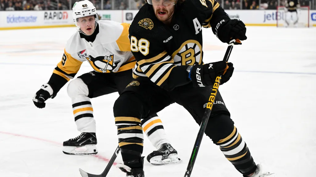 David Pastrňák v souboji o puk