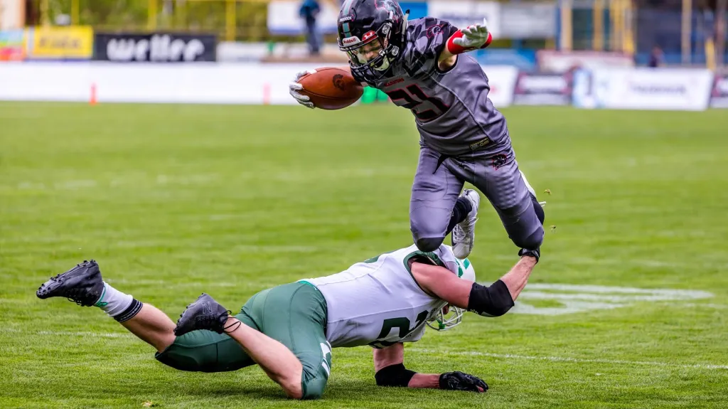 Vysočina Gladiators - Brno Alligators