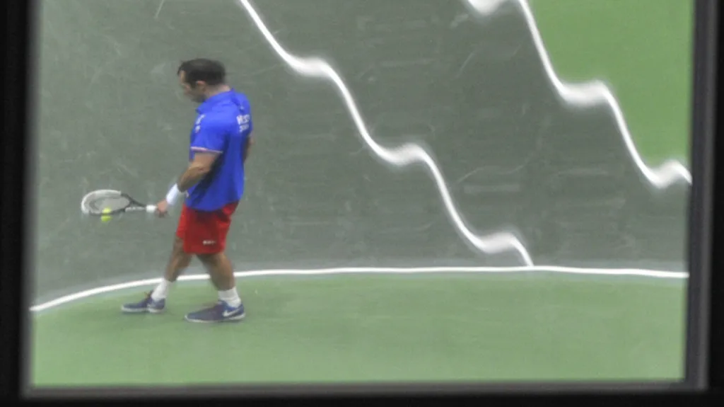 Odraz Radka Štěpánka