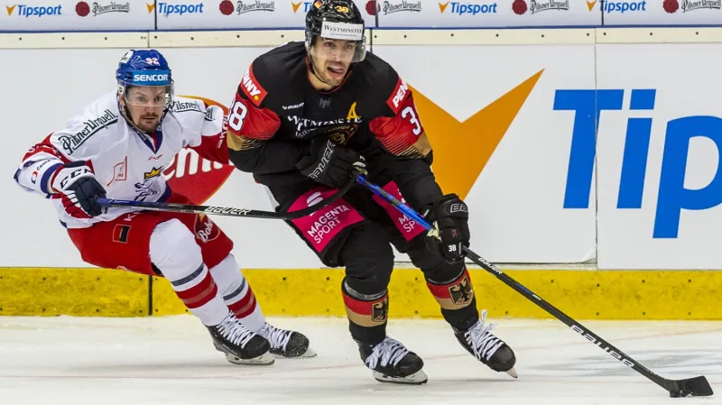 Utkání Česko - Německo