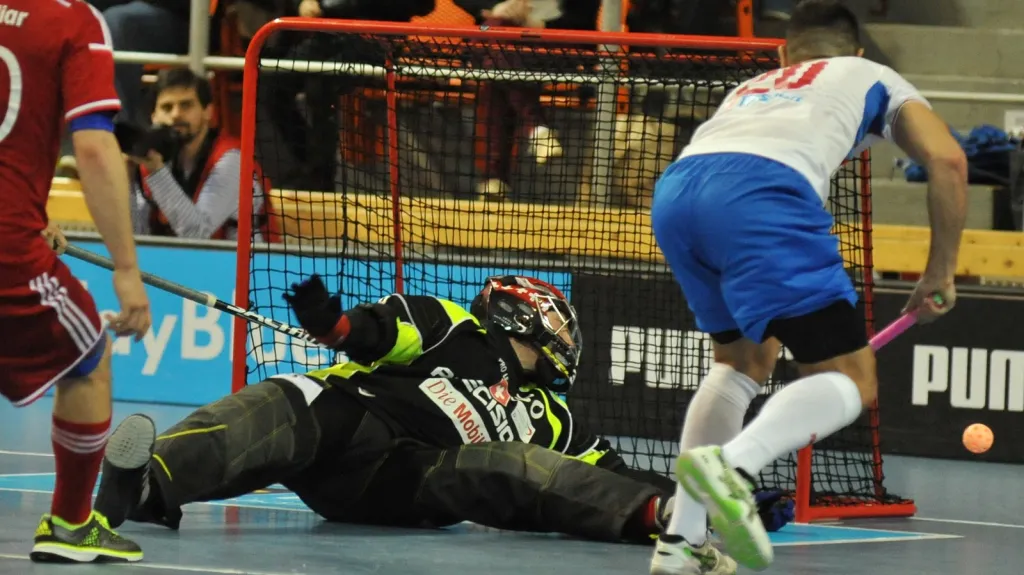 Utkání Česko - Švýcarsko