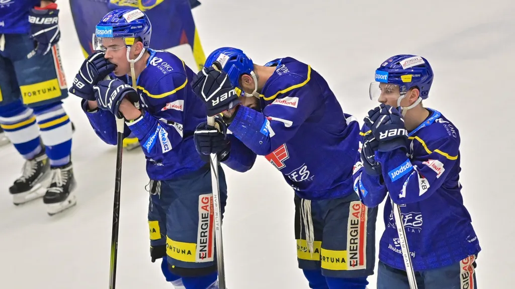 Zklamaní hokejisté Českých Budějovic