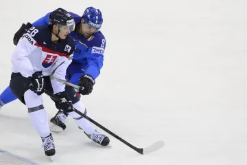 Utkání Slovensko - Itálie