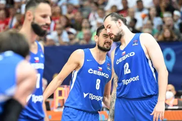 Čeští basketbalisté