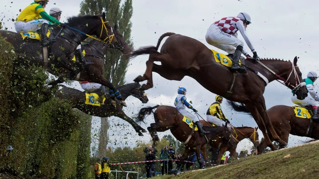 Koně na Taxisově příkopu