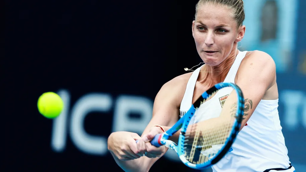 Karolína Plíšková