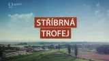 Stříbrná trofej