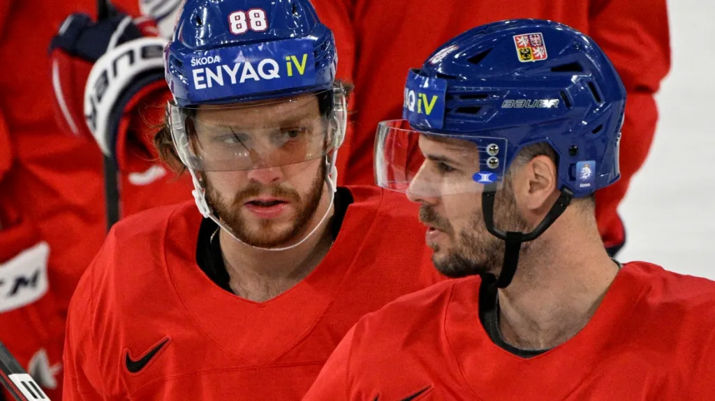 David Pastrňák (vlevo) a David Krejčí