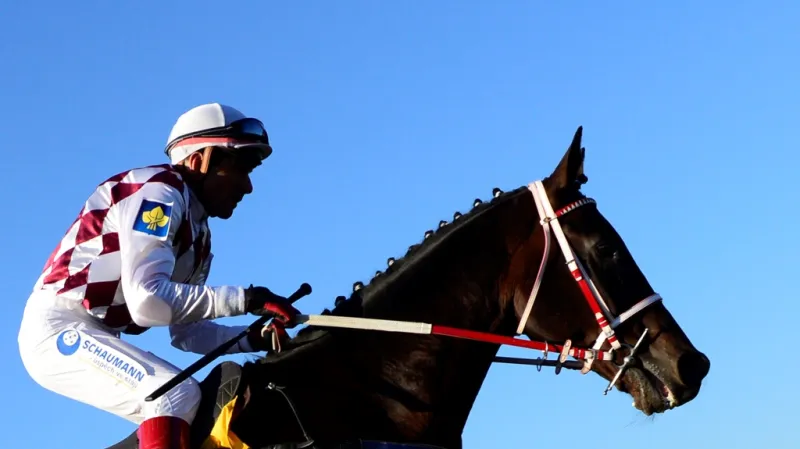 II. kvalifikace na Velkou pardubickou