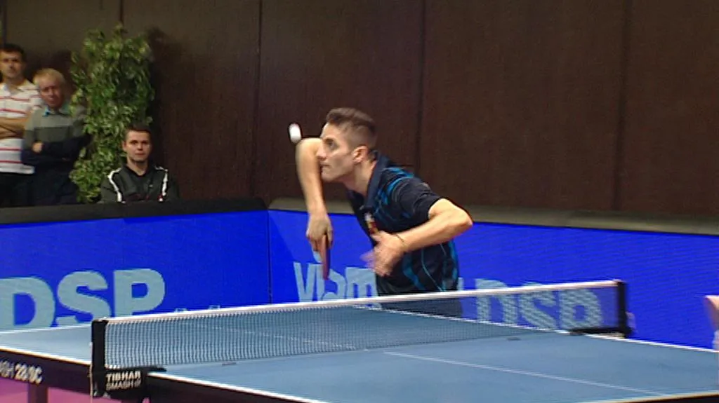 SP ve stolním tenisu 2013 Česko