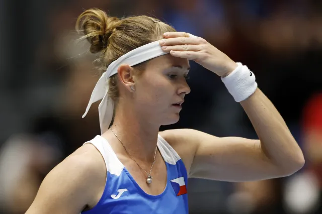 Bouzková zahájí kvalifikaci BJK ve Švýcarsku proti Bencicové