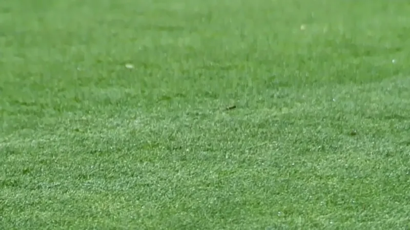 Jinde byl trávník v pořádku, na Bohemians ne. Komise za to viní pořadatele