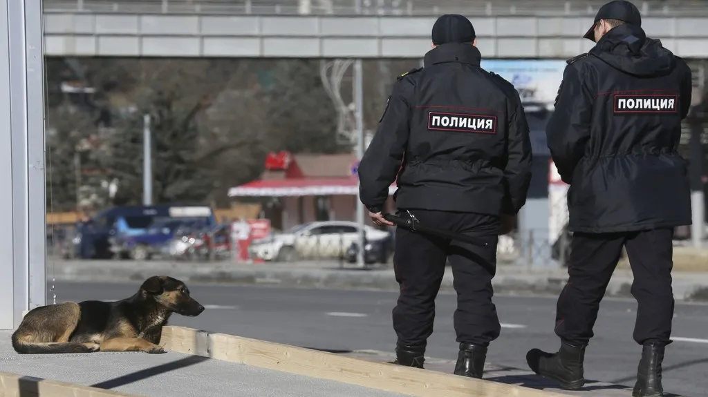 Toulaví psi v Soči mají utrum