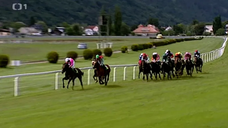 České derby ovládl Touch of Genius