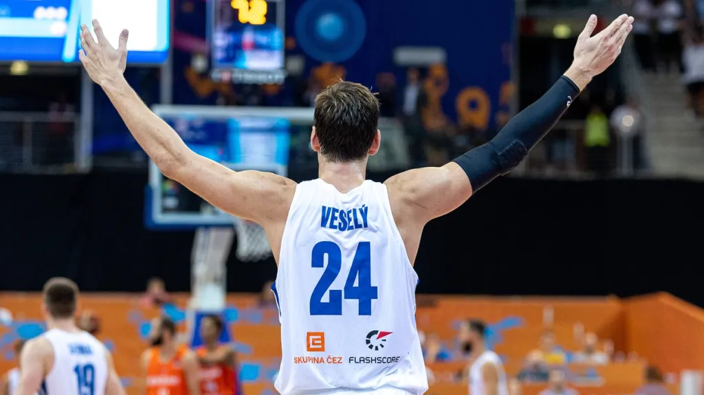 Jan Veselý v utkání proti Nizozemsku