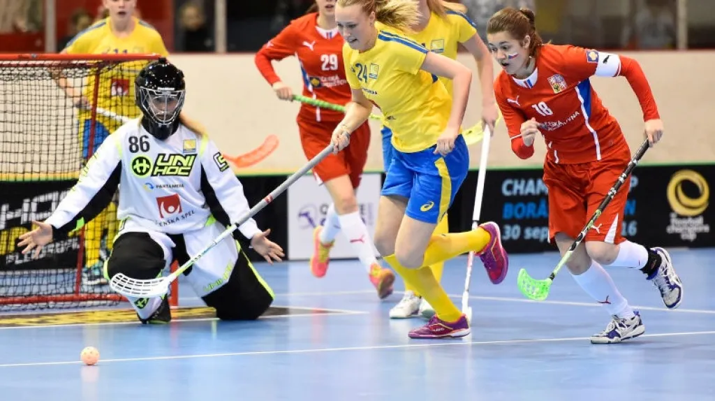 Utkání Česko - Švédsko