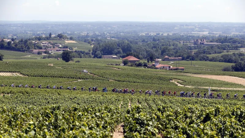 Peloton na Tour de France