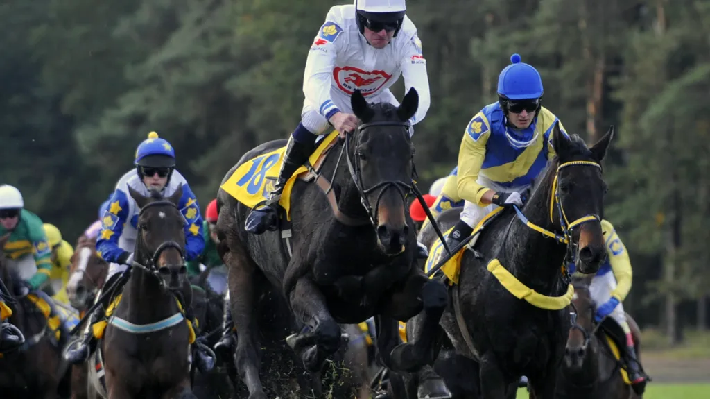 Orphee des Blins při Velké pardubické 2012