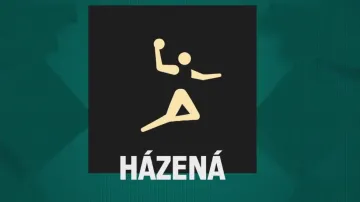 Záznam čtvrtfinále házené Francie – Bahrajn