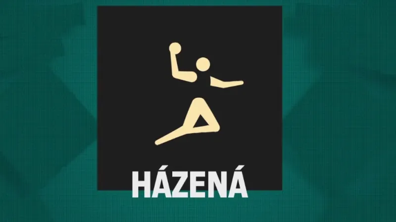 Záznam čtvrtfinále házené Francie – Bahrajn