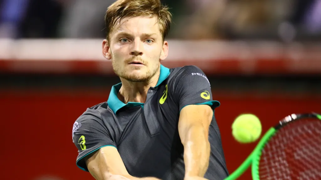David Goffin