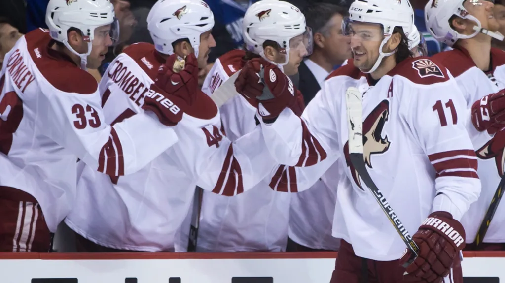 Martin Hanzal slaví gól