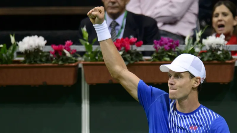 Sestřih utkání Berdych - Mayer