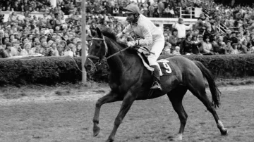 Třetí triumf Železníka ve Velké pardubické