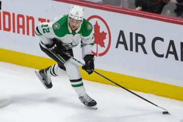 Radek Faksa