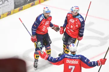 Pardubický útočník Jiří Smejkal (vlevo) se raduje s Janem Mandátem z gólu proti Třinci