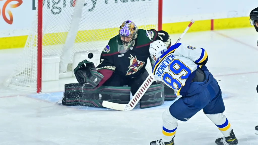 Karel Vejmelka v utkání se St. Louis
