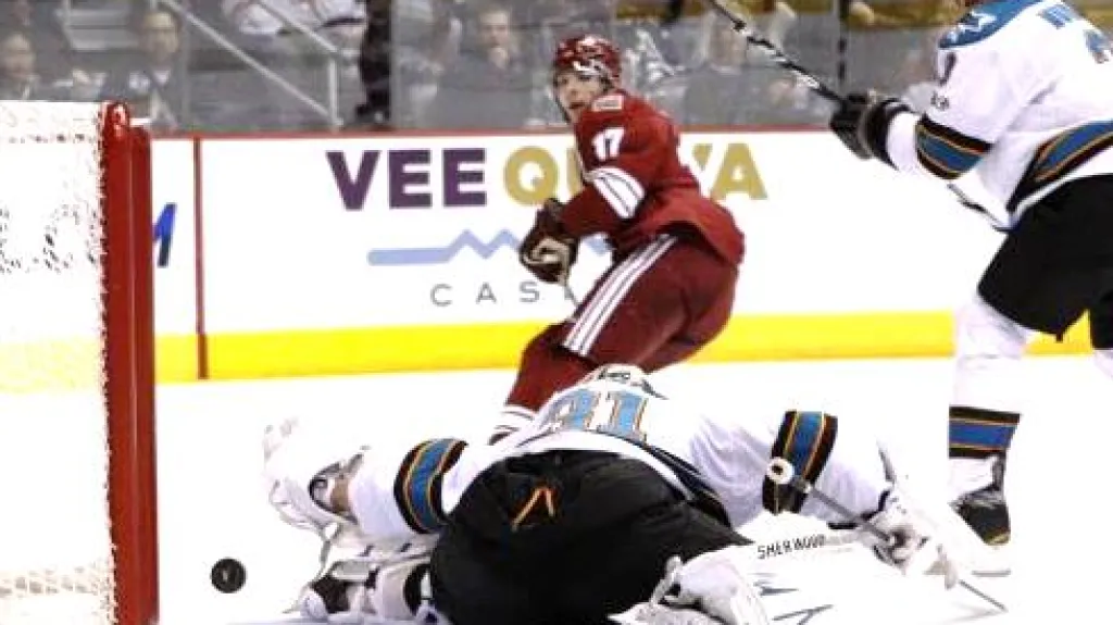 Radim Vrbata (17)