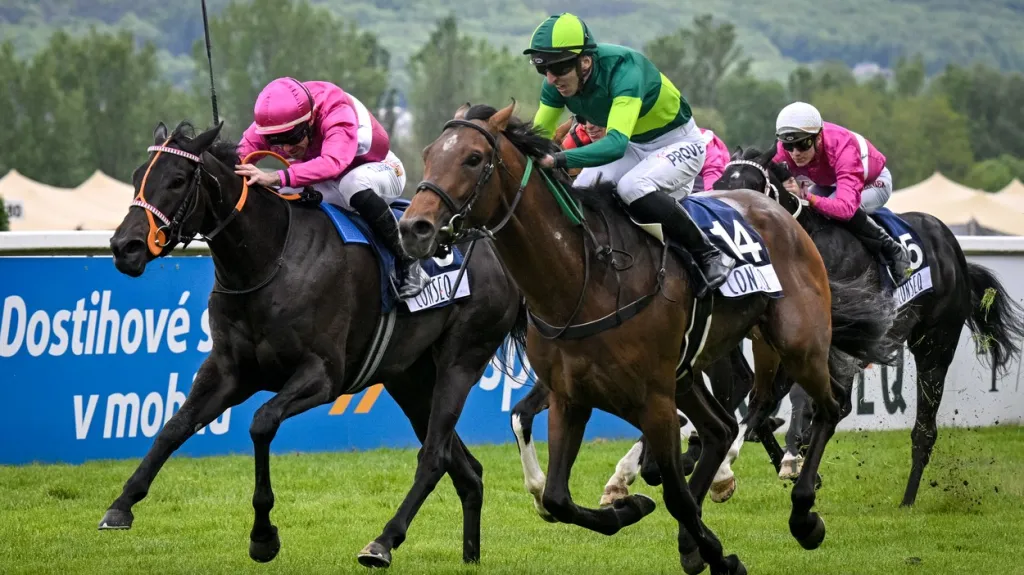 Velká jarní cena vyvrcholila krásným soubojem Jardin Michelet vs. Abha