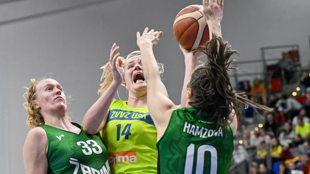 Utkání mezi USK Praha a Žabinami Brno