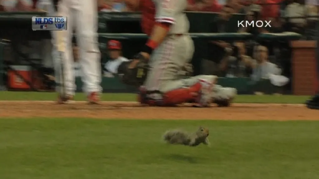 Veverka narušila zápas MLB