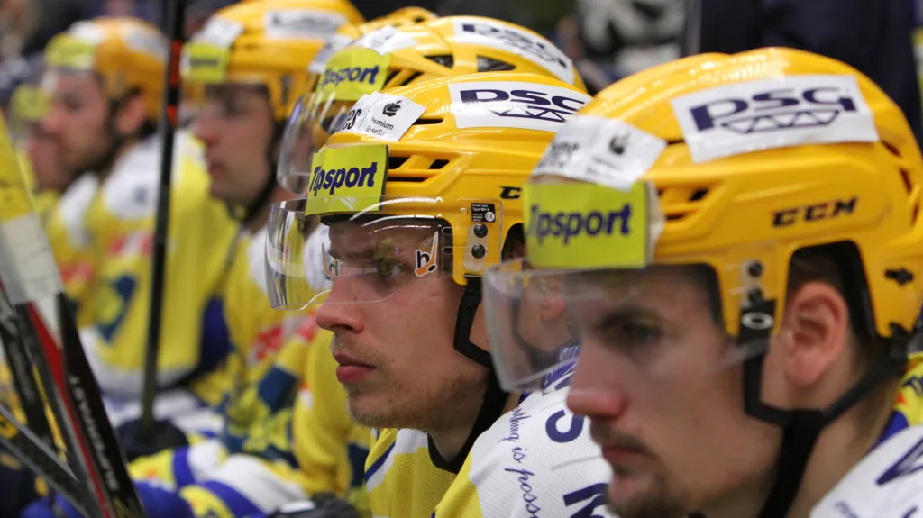 Extraligoví hokejisté - ilustrační foto