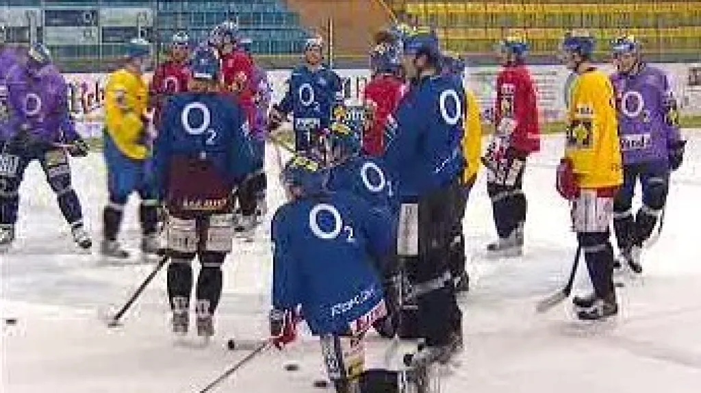 Hokejová reprezentace