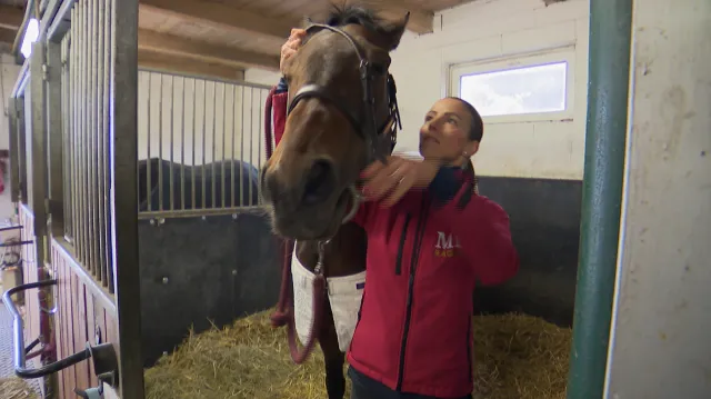 Havelková dosáhla na titul rovinové šampionky mezi žokeji