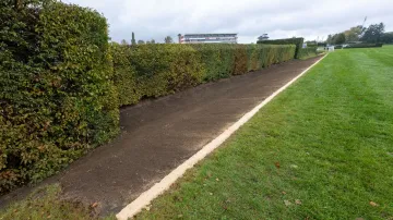 Velká pardubická 2025