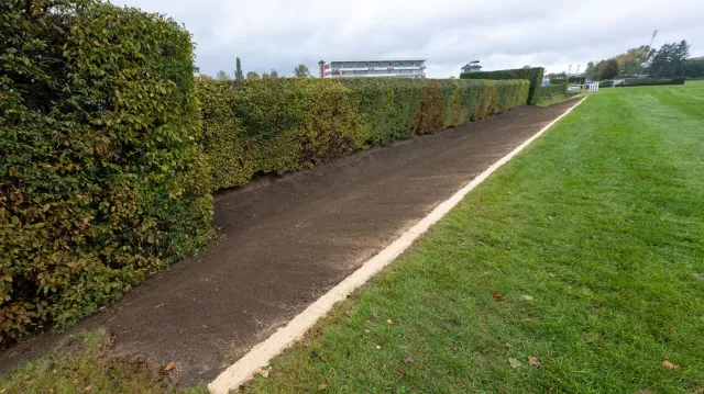 Velká pardubická 2025