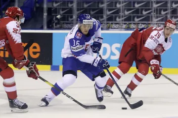 Utkání Slovensko - Dánsko