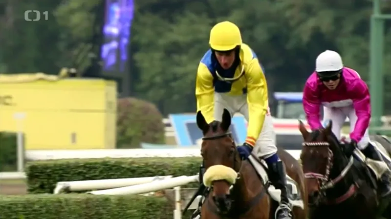 Stříbrnou trofej v Pardubicích vyhrál o sedm délek Anaking