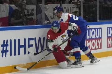 Ronald Knot v utkání se Slováky