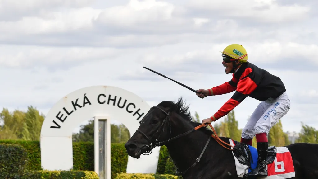 Francouzský žokej Jean-Bernard Eyquem na koni Troizilet