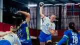 Utkání Česko – Slovinsko