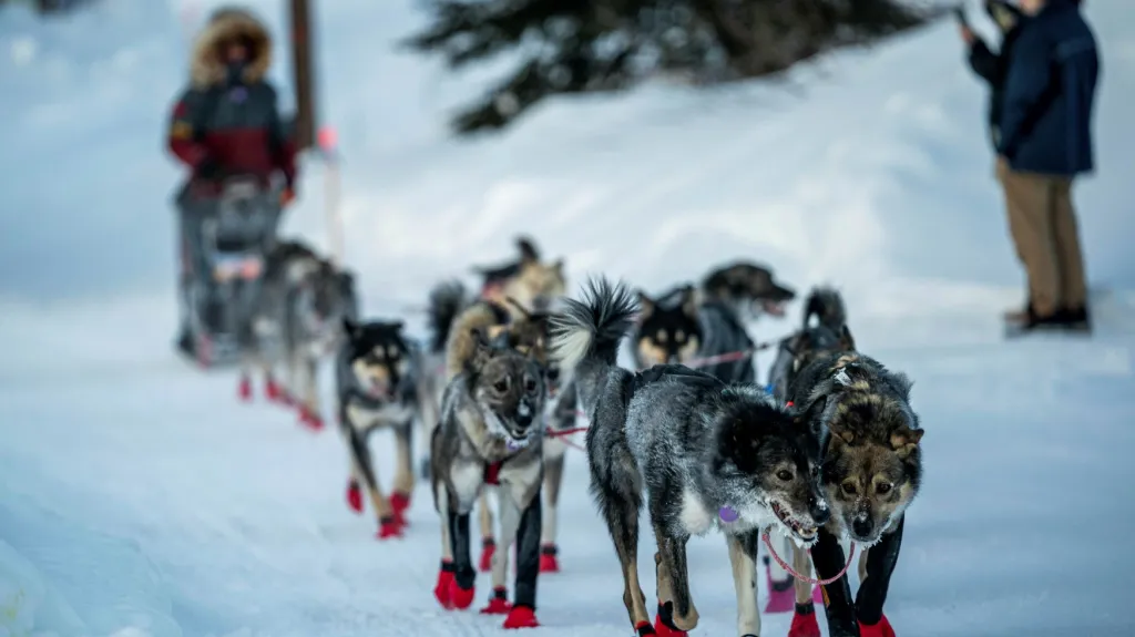 Iditarod